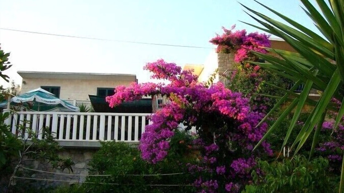 Sucuraj Apartment | Apartments Nada, (11647), Sućuraj, Croatia