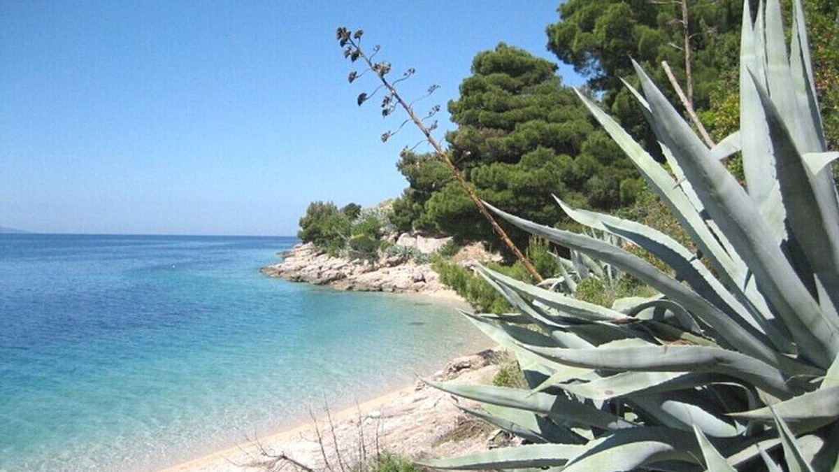Murvica Apartment | Apartments Nada, (14745), Bol, Croatia