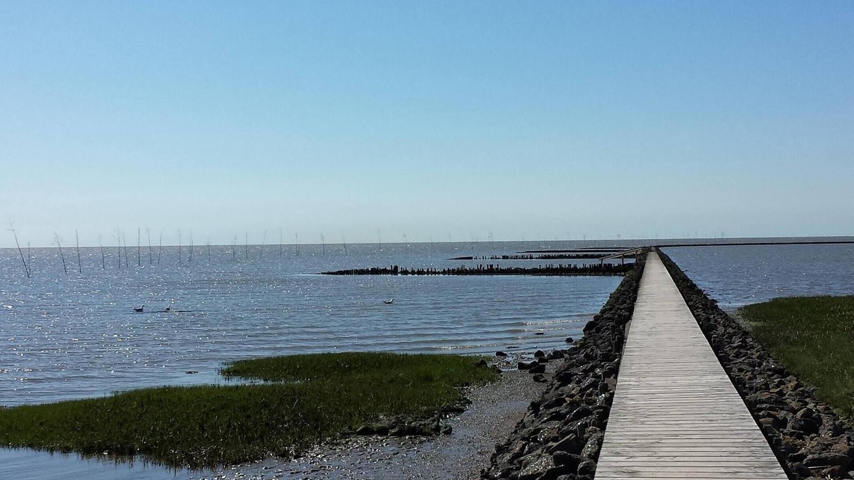 Cuxhaven Apartment | Apartments on the North Sea - 4 people, WiFi included, terrace and garden