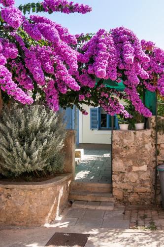 Veli Losinj Apartment | Apartments Relax