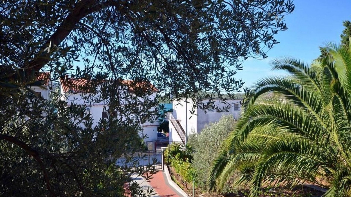 Pirovac Apartment | Apartments Rosanda (20441-A2) - Pirovac