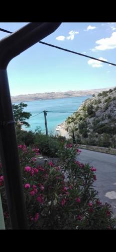 Ribarica Apartment | Apartments Vesna