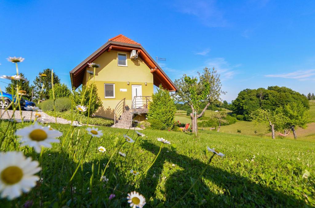 Brezice Apartment | Apartments Vinska Trta