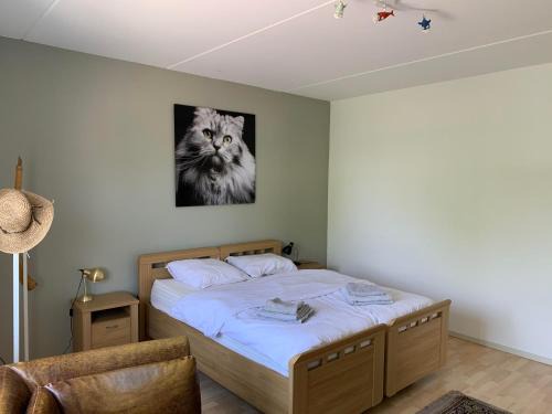 Wormer Apartment | Apartments Zaanse Schans and Amsterdam