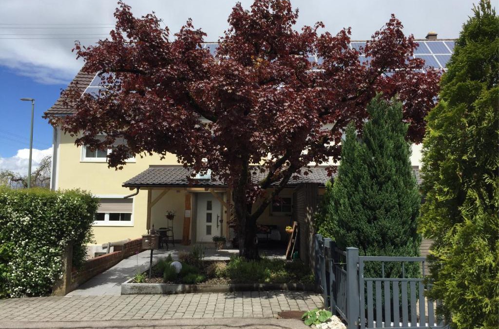Illertissen Apartment | Apartmentvermietung Ingrid Bolkart - Vöhlino 2