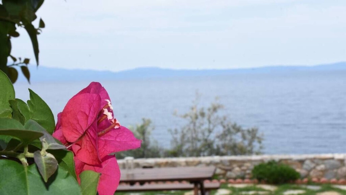 Pella Region Condo | Aphrodite * Charming apt with stunning view!