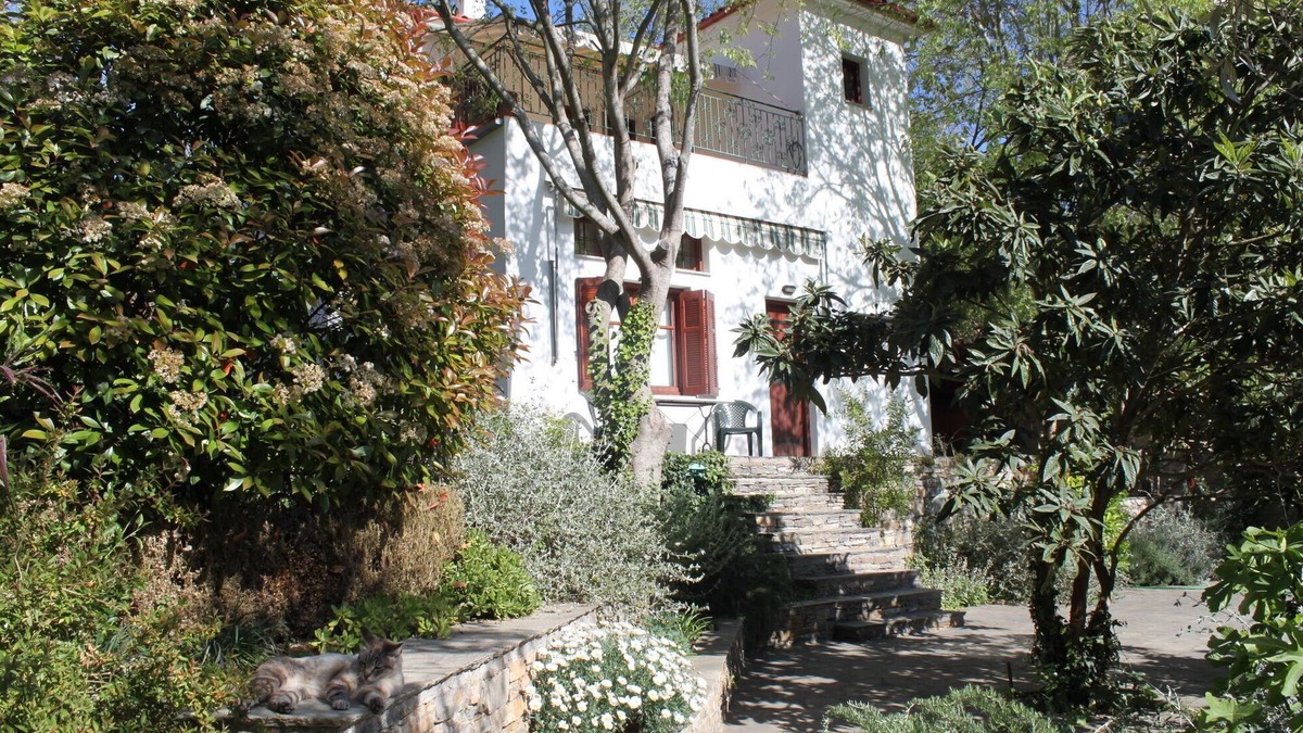Kali Vrysi Apartment | APHROULA'S APARTMENT - for 2 - 4 persons in a beautiful, quiet corner of Greece
