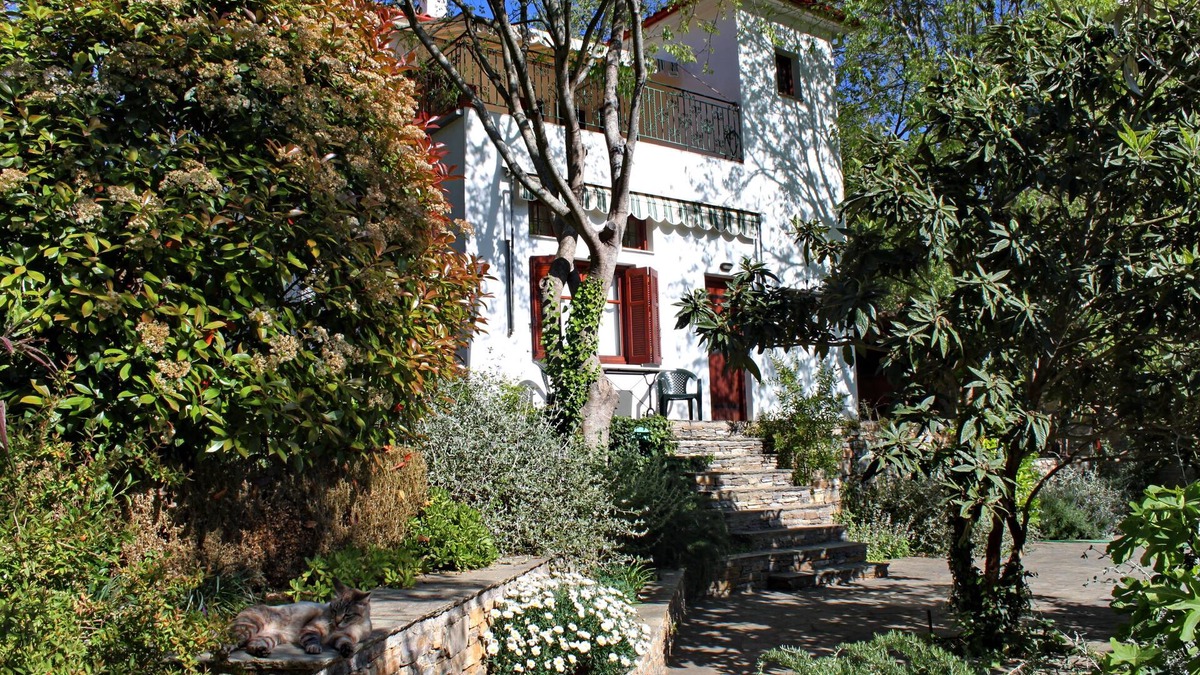 Kali Vrysi House | APHROULA'S HOUSE; A family home in a quiet, beautiful corner of Greece.