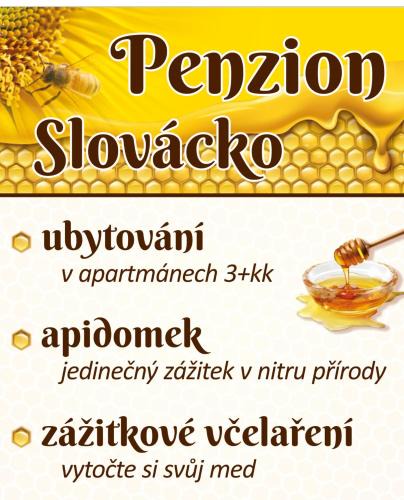 Ostrozska Lhota Other | Apidomek