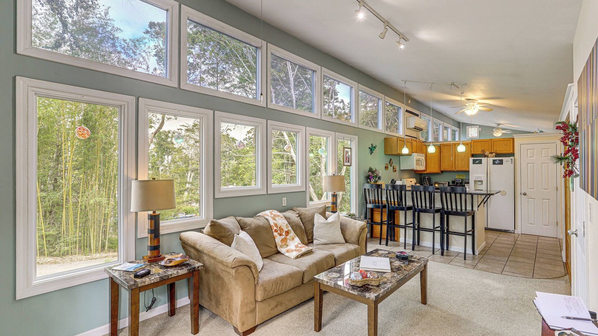 Asheville Apartment | Appalachian Mtn Retreat: 4 Mi to Grovewood Village