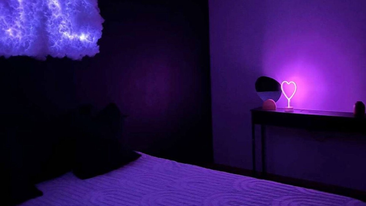 Pierre-Benite Apartment | Apparemment Cosy Avec Jacuzzi