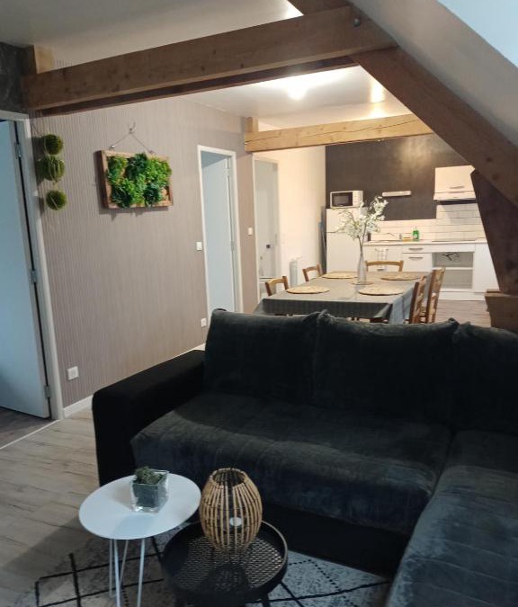 Noyen-sur-Sarthe Apartment | appart 2 chambres