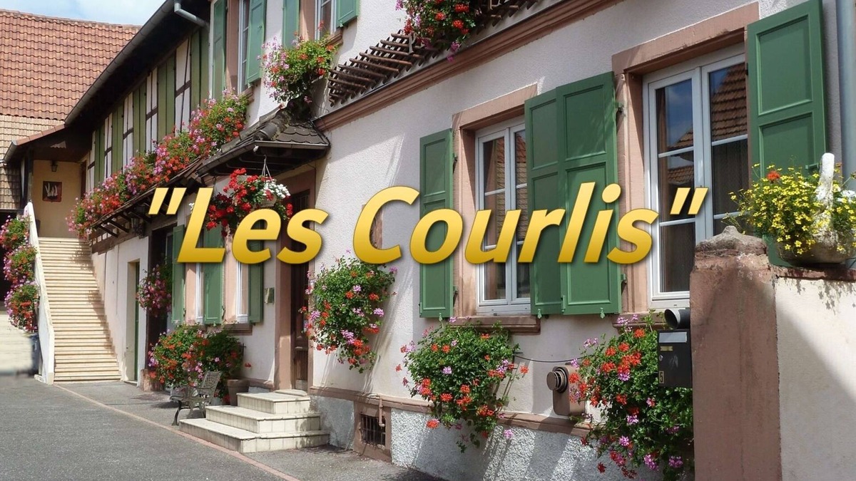 Hoerdt Apartment | Appart. 2 rooms "Les Courlis" near Strasbourg. 3* Furnished Accommodation