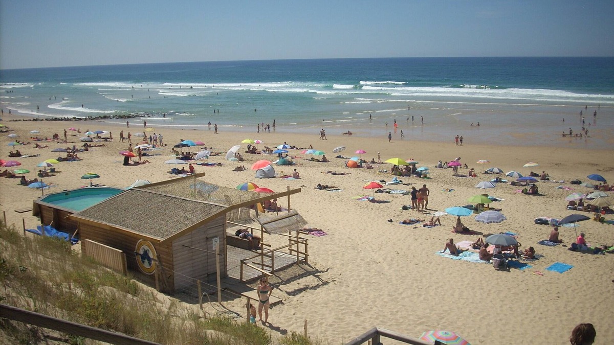 Mimizan-Plage Apartment | Appart. 48m2 large garden terrace located 60m from the beach and 300m from the village