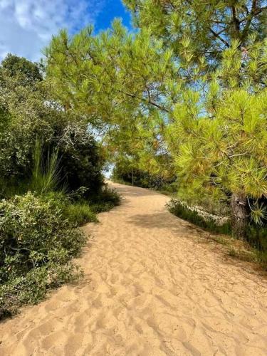 Le Chateau-d'Oleron Apartment | Appart' Islande