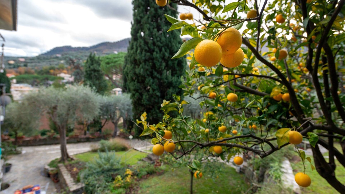 San Lorenzo della Costa Apartment | Appartamento in giardino, soggiorno minimo 5 notti