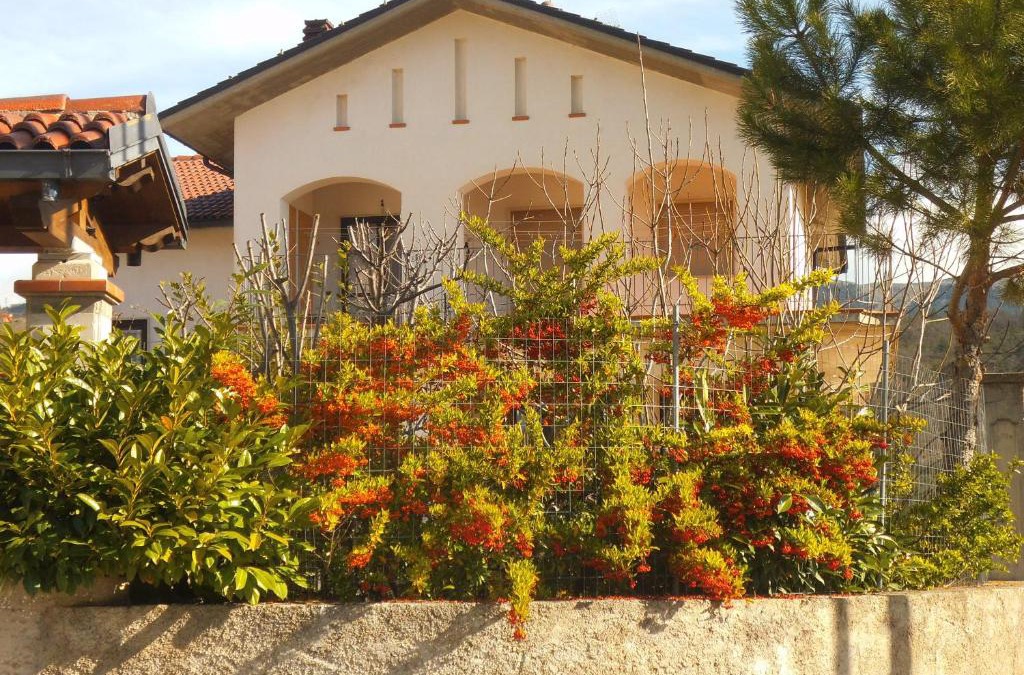 L'Aquila Apartment | Appartamenti Vista Gransasso