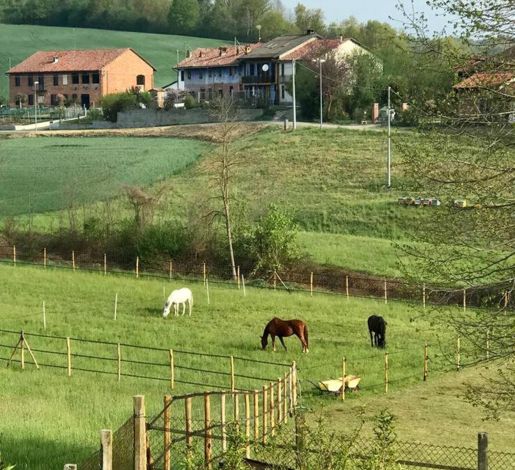 Roatto Apartment | Appartamento in cascina -la cascinetta di Ali-