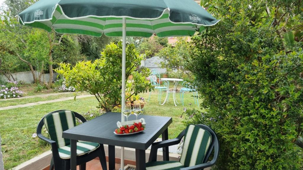 Olbia House | Appartamento in villa con veranda privata e parcheggio gratuito