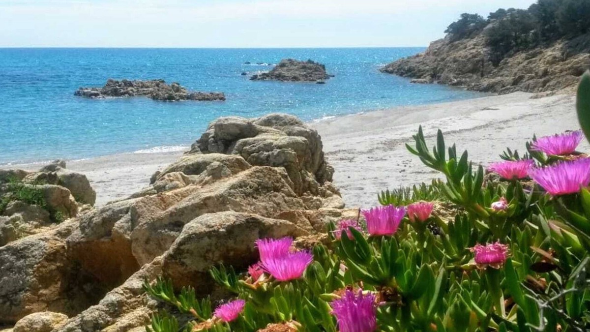 Sas Linnas Siccas House | APPARTAMENTO VISTA MARE CON ACCESSO DIRETTO ALLA SPIAGGIA DI MARZELLINU