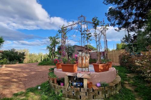 Crespina House | appartamento Margherita