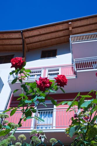 Malonno Apartment | Appartamento Pettirosso