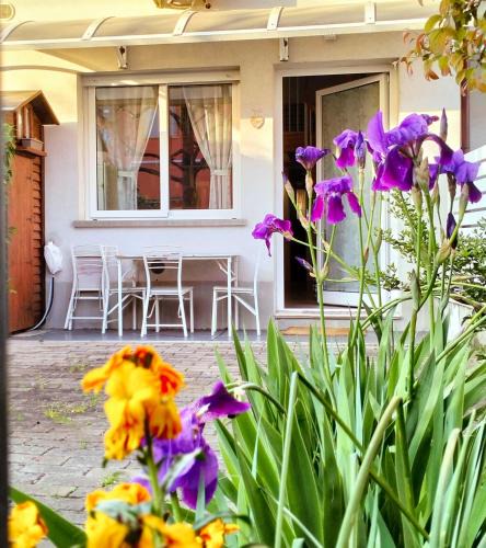 Province of Bologna Apartment | Appartamento Signorini Bolognaholidayhome - Parcheggio e Giardino privato - Holiday House Bologna Garden Parking
