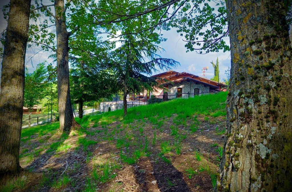 Leonessa Apartment | Appartamento Vacanze Il Daino