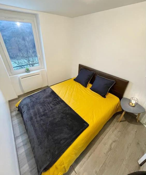Bellegarde-sur-Valserine Apartment | Appartement le Rhôn'ain - Vue Rhône - Lit Queen size