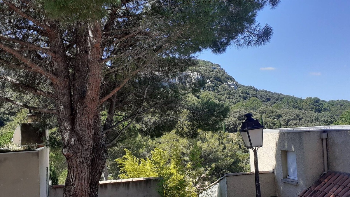Paradou Apartment | Appartement Dans les Alpilles