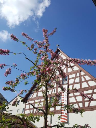 Bad Saulgau Apartment | Appartement am Stadtmuseum - ruhig und zentral gelegen