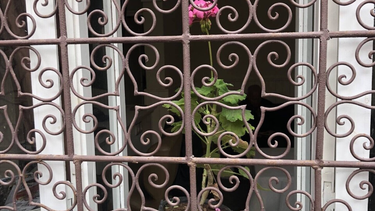 Essaouira Apartment | Appartement Chez LES Parents D'essaouira