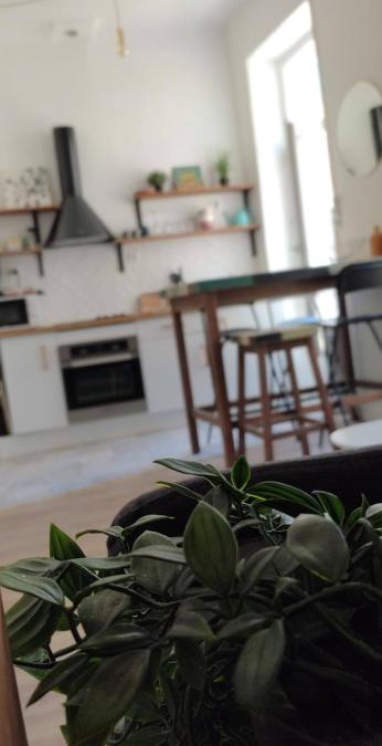 Noailles Apartment | Appartement coquet coeur de ville