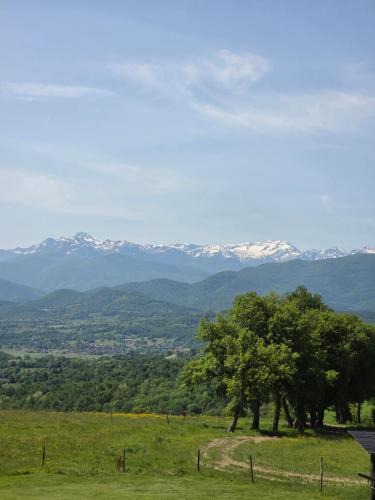 Taurignan-Castet Apartment | Appartement en campagne