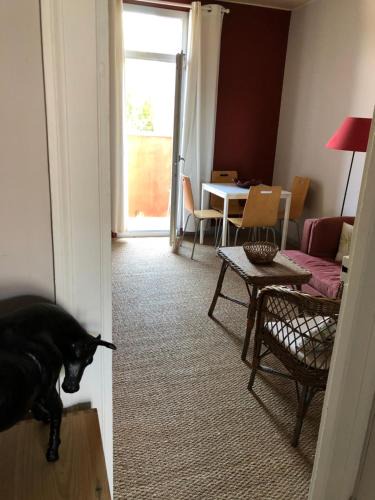 Les Arceaux Apartment | Appartement Hippolyte