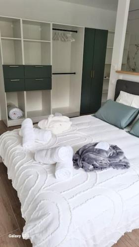 Graulhet Apartment | Appartement Le Marcky
