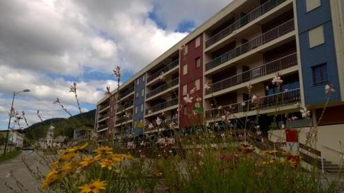 Lelex Apartment | Appartement spacieux tout confort pied des pistes