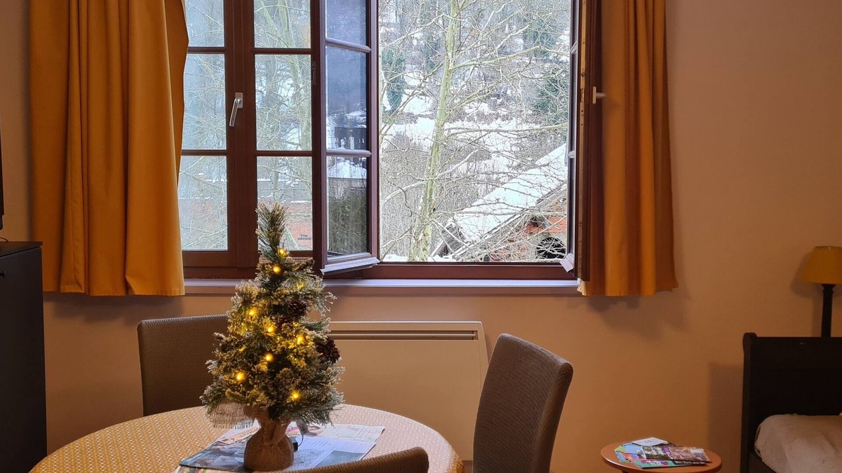 Aulus-les-Bains Apartment | Appartement T2 Le Porteur de Glace Dans Résidence du Grand Hôtel