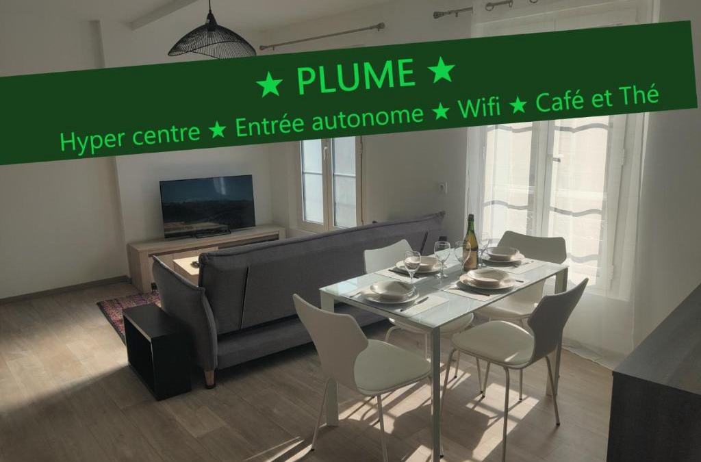 Ernee Apartment | Appartement T3 PLUME Hyper centre d'ERNÉE