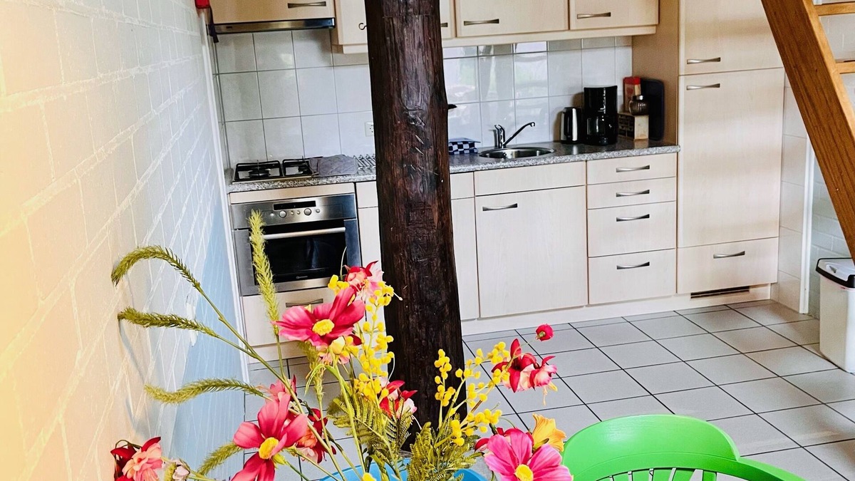 Havelte Apartment | Appartementenboerderij 'de Veurdeale' in Havelte, Steenworp van Giethoorn