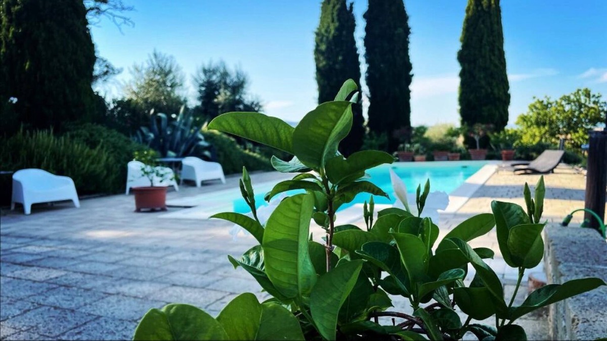 Rosignano Marittimo Apartment | Appartemento SanMartino - vacation in a country house steeped in history.
