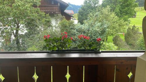 Laehn Apartment | Appartments Krone