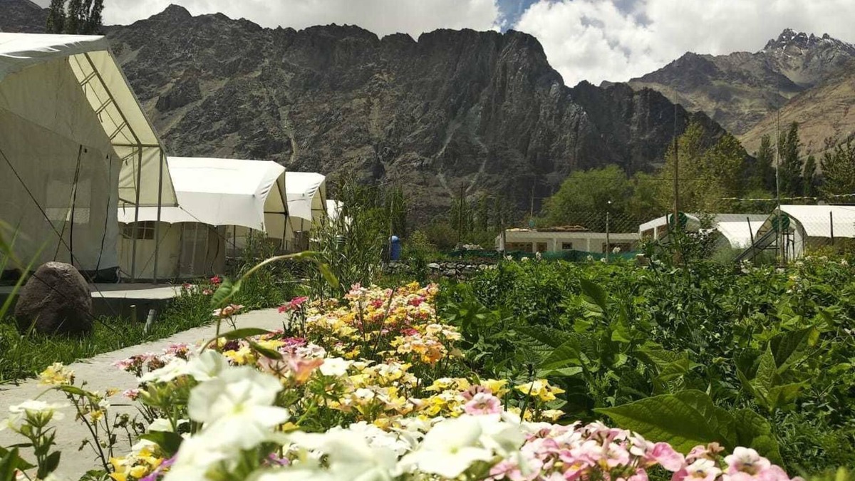 She RV Rental | Apple Cottage Nubra - Glamping