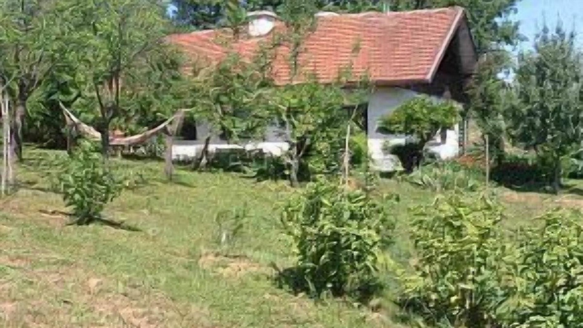 Gabrovcec Cottage | Apple Tree Cottage (6+2) located in a private garden with an orchard