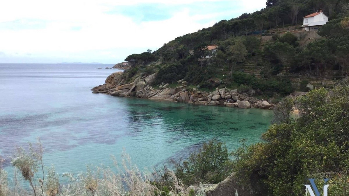 Giglio Campese Apartment | Apt. Cala Monella - Villa Manzoni
