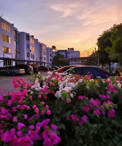 Valledupar Apartment | Apto San Francisco de Asis