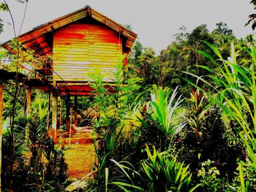Kithulgala Bed & Breakfast | Aqua Cabins