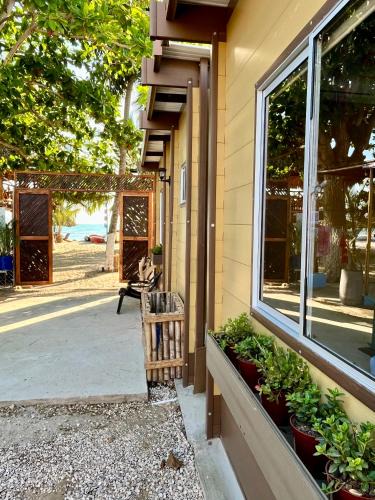 Rincon Bed & Breakfast | Aquarius Diving Club y Cabañas