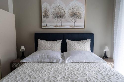 Dio-Olympos Apartment | Aquilas Nest Apartment Litochoro