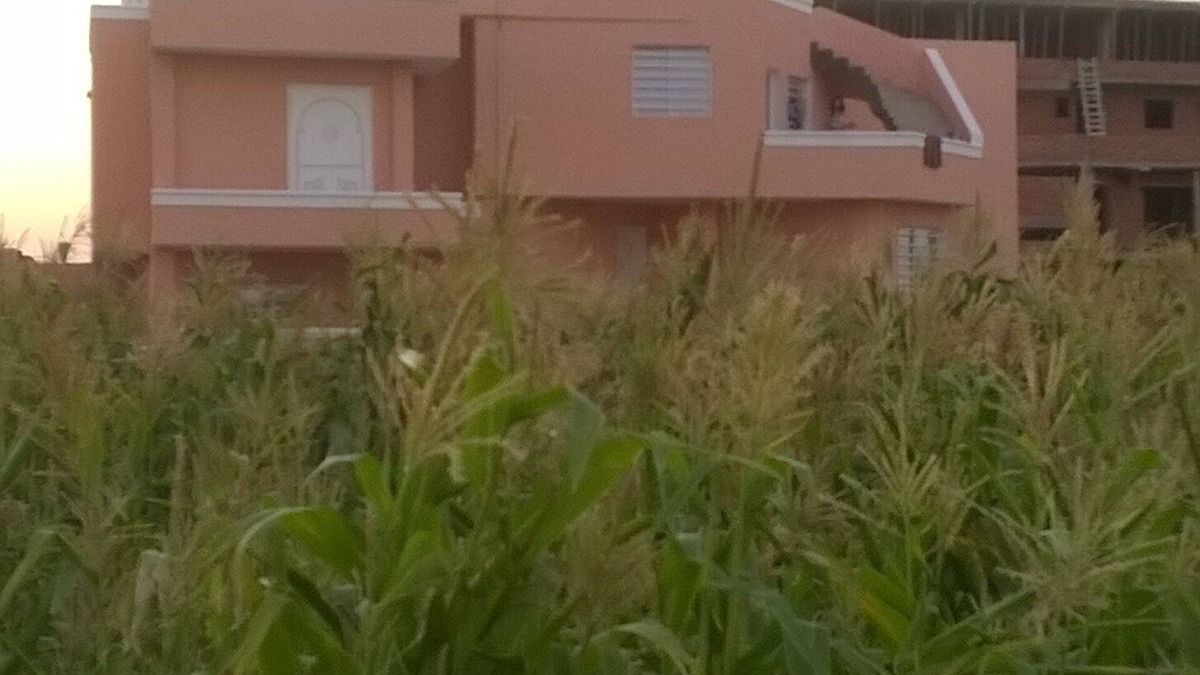 Hammam Al Agzaz House | Arabesque beautiful house full of nature!Arabesque Beautiful house in the countryside